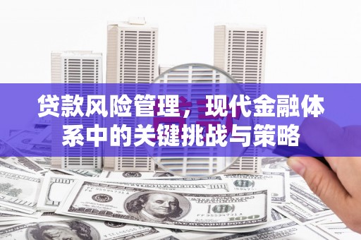 呼兰贷款风险管理，现代金融体系中的关键挑战与策略