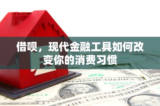 呼兰借呗，现代金融工具如何改变你的消费习惯
