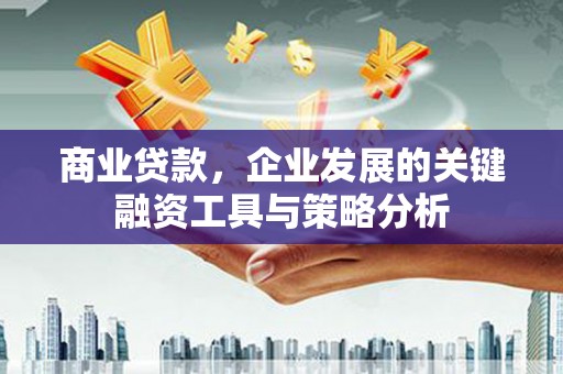 呼兰商业贷款，企业发展的关键融资工具与策略分析
