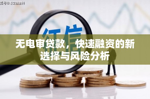 呼兰无电审贷款，快速融资的新选择与风险分析