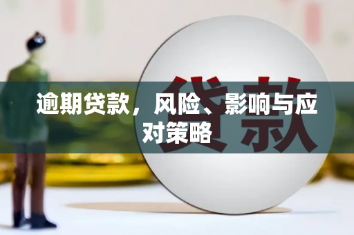 呼兰逾期贷款，风险、影响与应对策略
