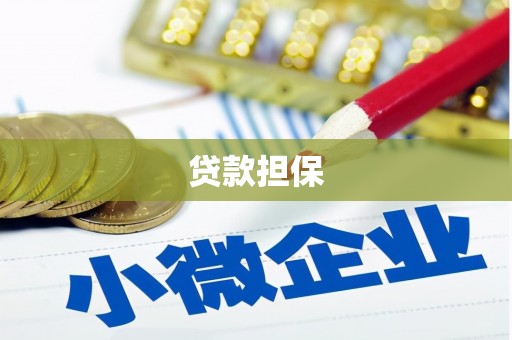 呼兰贷款担保