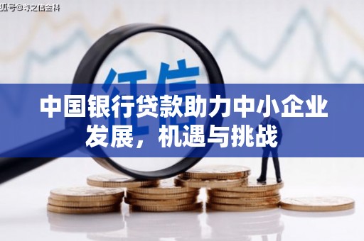 呼兰中国银行贷款助力中小企业发展，机遇与挑战