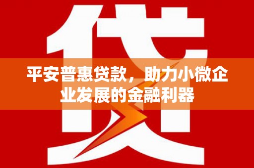 呼兰平安普惠贷款，助力小微企业发展的金融利器