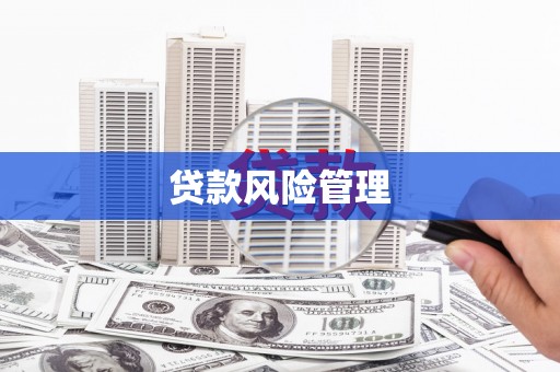 呼兰贷款风险管理