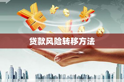呼兰贷款风险转移方法
