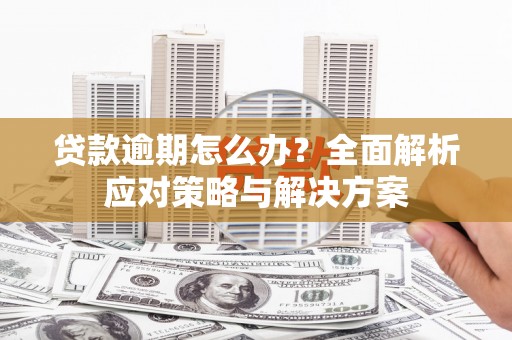 呼兰贷款逾期怎么办？全面解析应对策略与解决方案