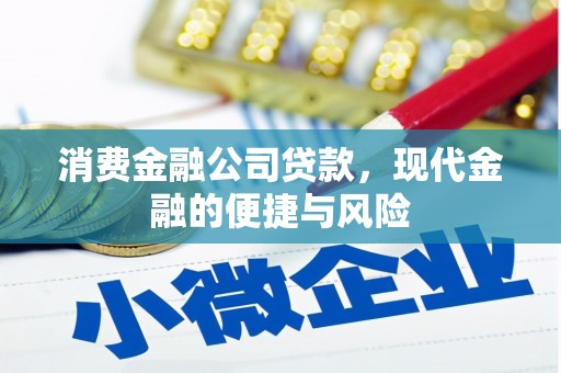 呼兰消费金融公司贷款，现代金融的便捷与风险