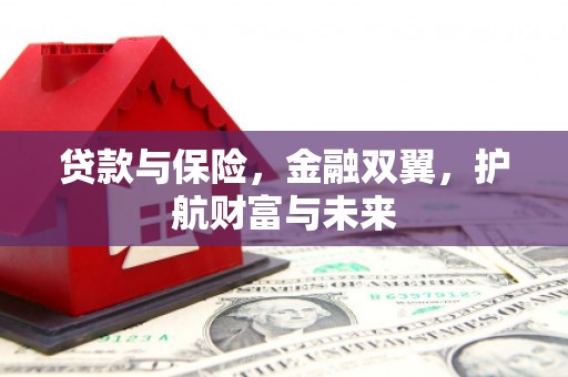 呼兰贷款与保险，金融双翼，护航财富与未来