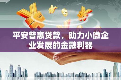 呼兰平安普惠贷款，助力小微企业发展的金融利器