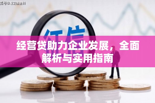 呼兰经营贷助力企业发展，全面解析与实用指南
