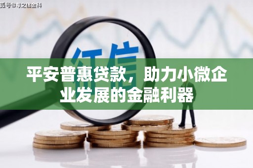 呼兰平安普惠贷款，助力小微企业发展的金融利器