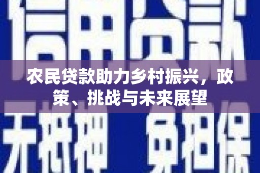 呼兰农民贷款助力乡村振兴，政策、挑战与未来展望