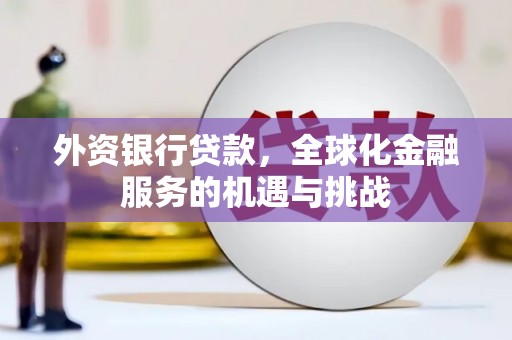呼兰外资银行贷款，全球化金融服务的机遇与挑战