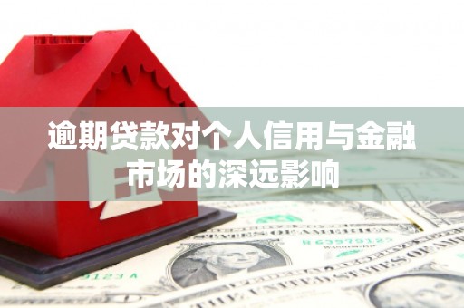 呼兰逾期贷款对个人信用与金融市场的深远影响
