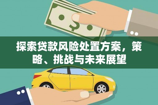 呼兰探索贷款风险处置方案，策略、挑战与未来展望