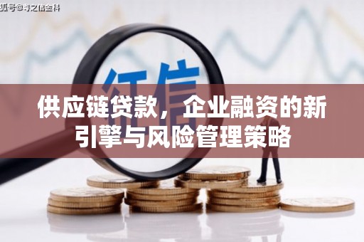 呼兰供应链贷款，企业融资的新引擎与风险管理策略