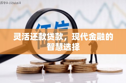 呼兰灵活还款贷款，现代金融的智慧选择