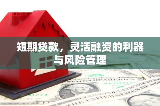 呼兰短期贷款，灵活融资的利器与风险管理