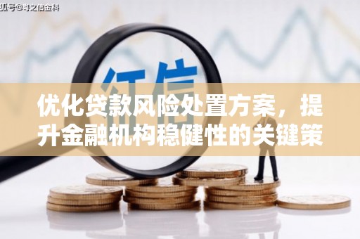 呼兰优化贷款风险处置方案，提升金融机构稳健性的关键策略