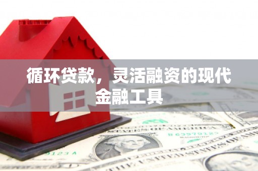呼兰循环贷款，灵活融资的现代金融工具