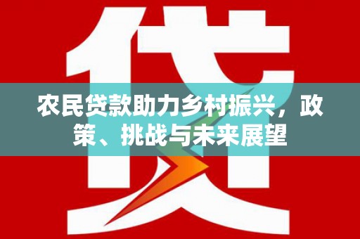 呼兰农民贷款助力乡村振兴，政策、挑战与未来展望
