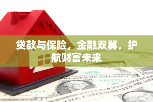 呼兰贷款与保险，金融双翼，护航财富未来