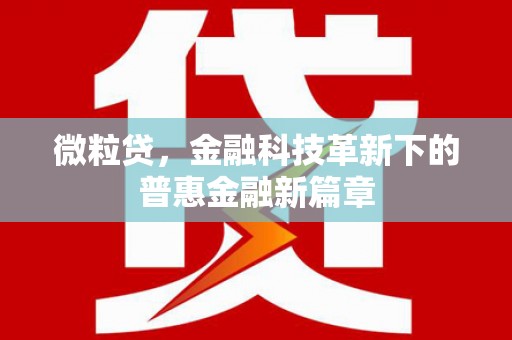 呼兰微粒贷，金融科技革新下的普惠金融新篇章