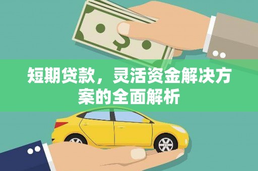 呼兰短期贷款，灵活资金解决方案的全面解析