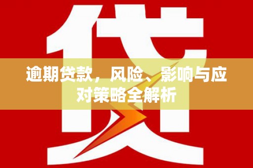 呼兰逾期贷款，风险、影响与应对策略全解析