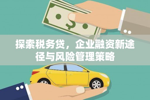呼兰探索税务贷，企业融资新途径与风险管理策略