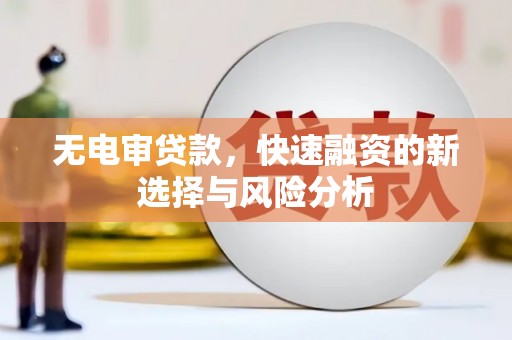 呼兰无电审贷款，快速融资的新选择与风险分析