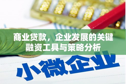 呼兰商业贷款，企业发展的关键融资工具与策略分析