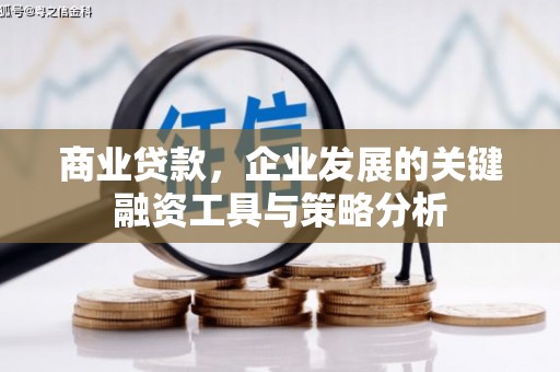 呼兰商业贷款，企业发展的关键融资工具与策略分析