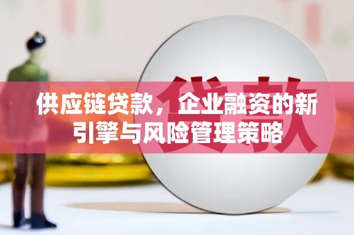 呼兰供应链贷款，企业融资的新引擎与风险管理策略
