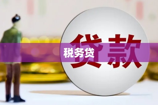 呼兰税务贷