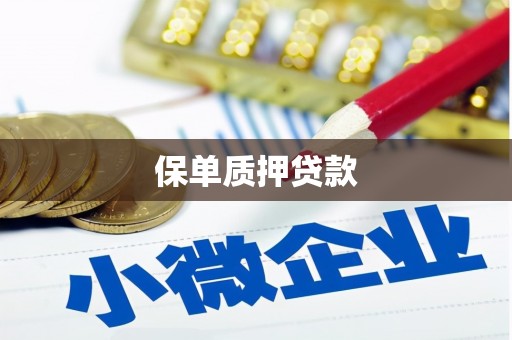 呼兰保单质押贷款