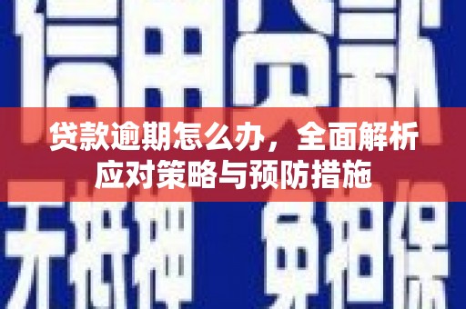 呼兰贷款逾期怎么办，全面解析应对策略与预防措施