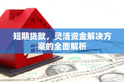 呼兰短期贷款，灵活资金解决方案的全面解析