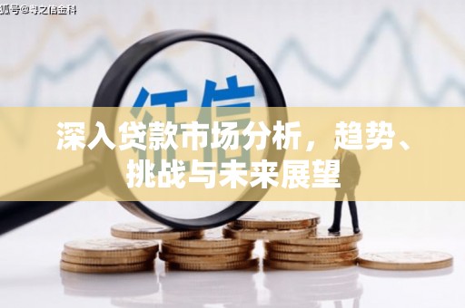 呼兰深入贷款市场分析，趋势、挑战与未来展望