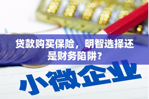 呼兰贷款购买保险，明智选择还是财务陷阱？