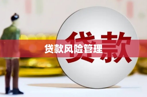 呼兰贷款风险管理
