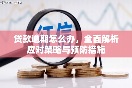 呼兰贷款逾期怎么办，全面解析应对策略与预防措施