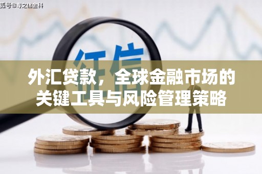 呼兰外汇贷款，全球金融市场的关键工具与风险管理策略