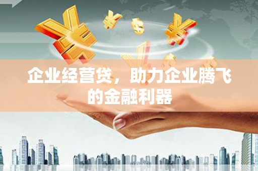 呼兰企业经营贷，助力企业腾飞的金融利器