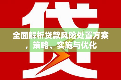 呼兰全面解析贷款风险处置方案，策略、实施与优化
