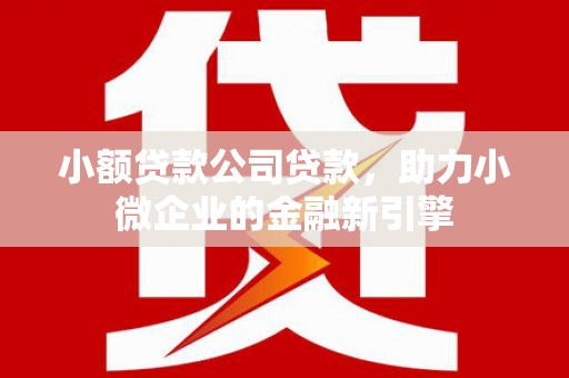 呼兰小额贷款公司贷款，助力小微企业的金融新引擎