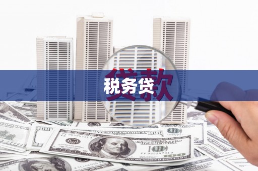 呼兰税务贷