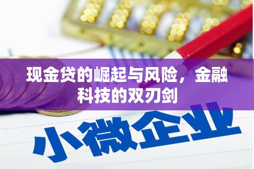 呼兰现金贷的崛起与风险，金融科技的双刃剑