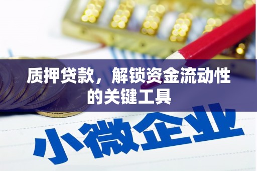 呼兰质押贷款，解锁资金流动性的关键工具